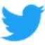 t.co logo