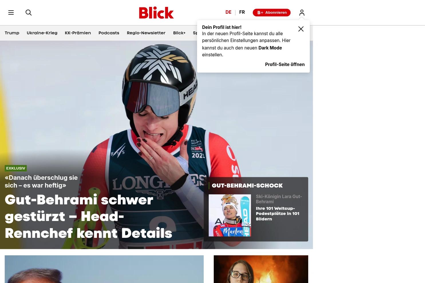 Blick website screenshot