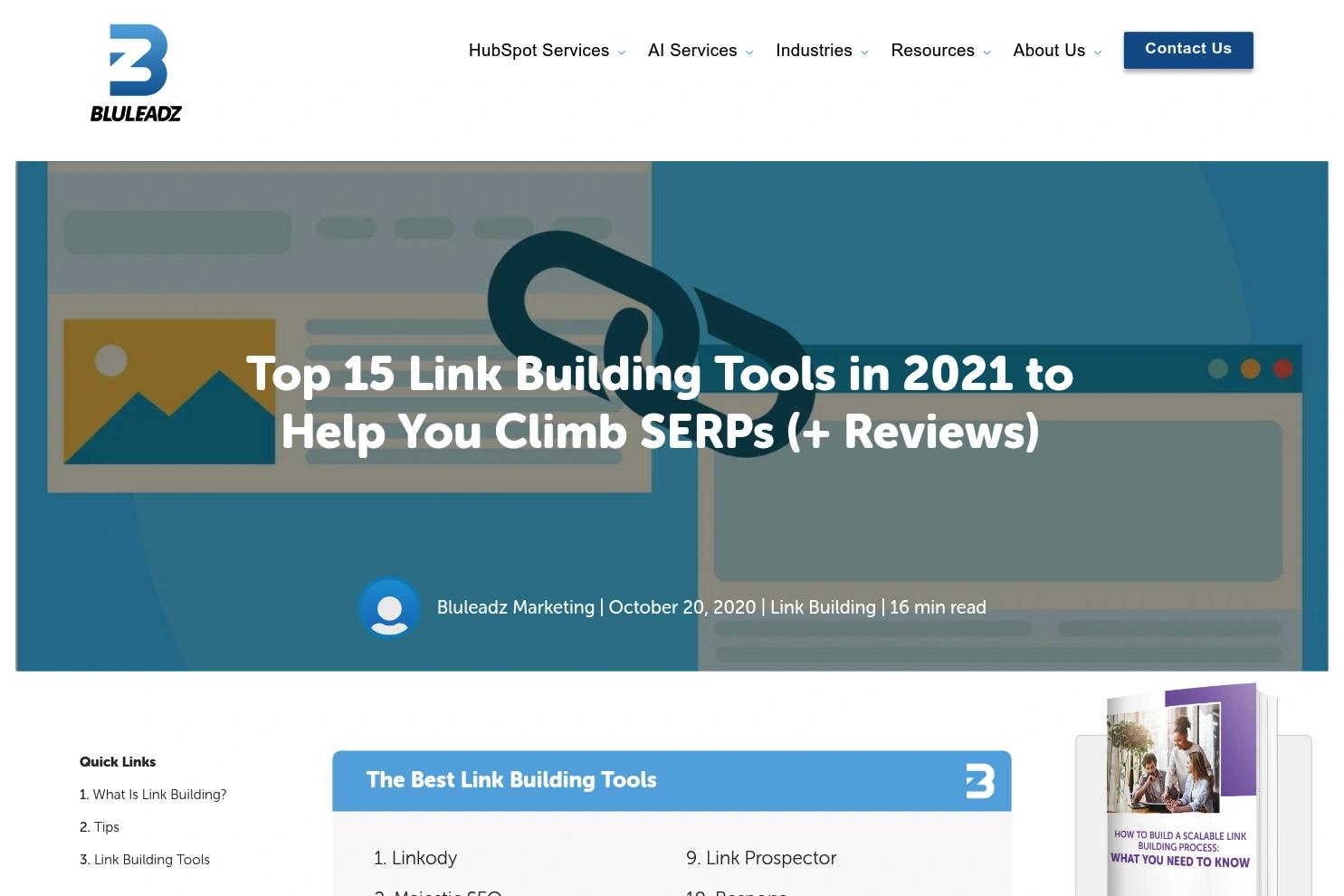 Bluleadz website screenshot