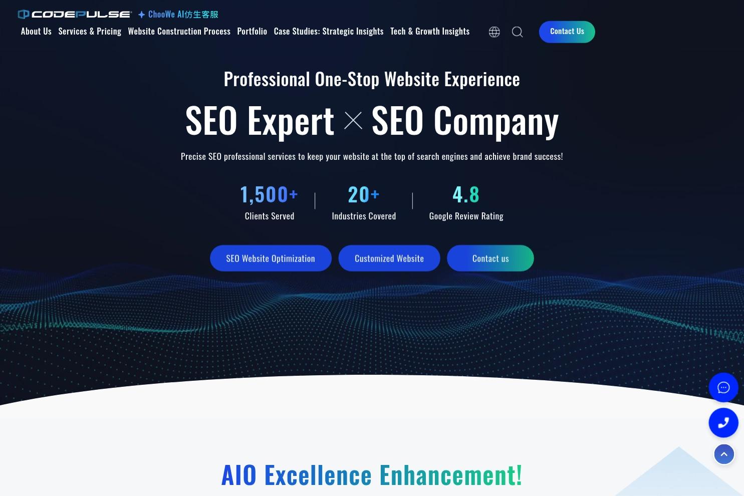 Codepulse website screenshot