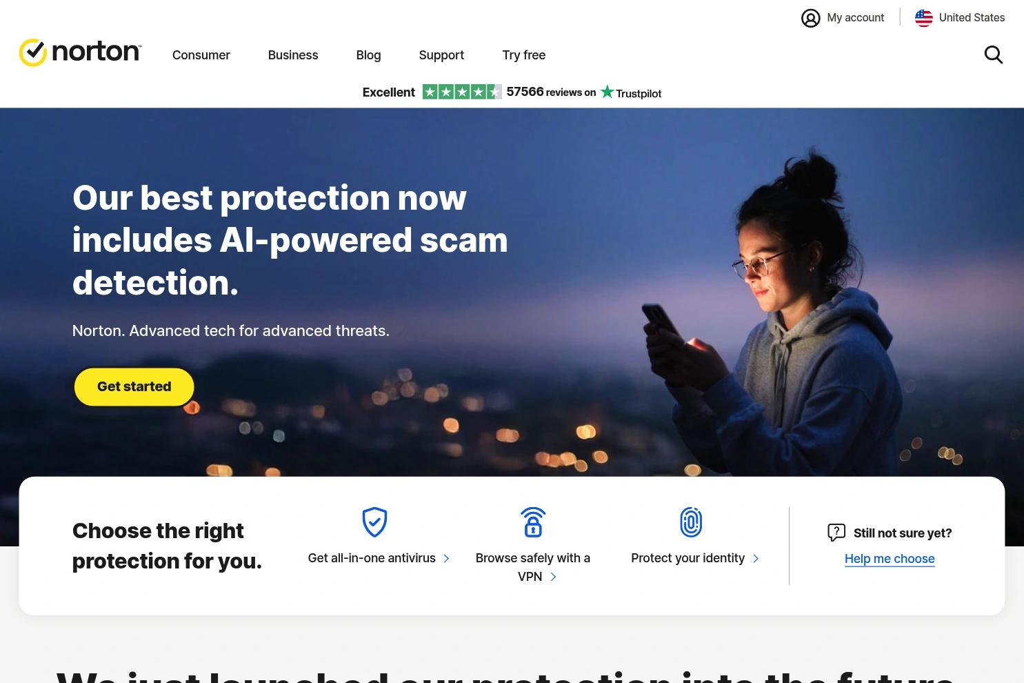Norton website screenshot