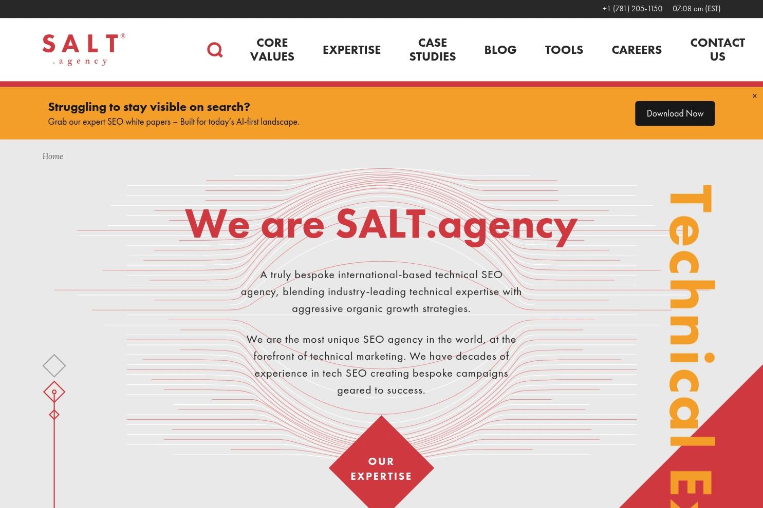 Salt website screenshot