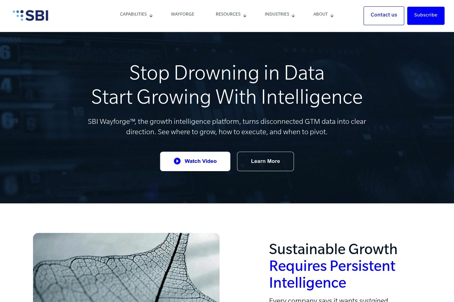 SBI Growth website screenshot