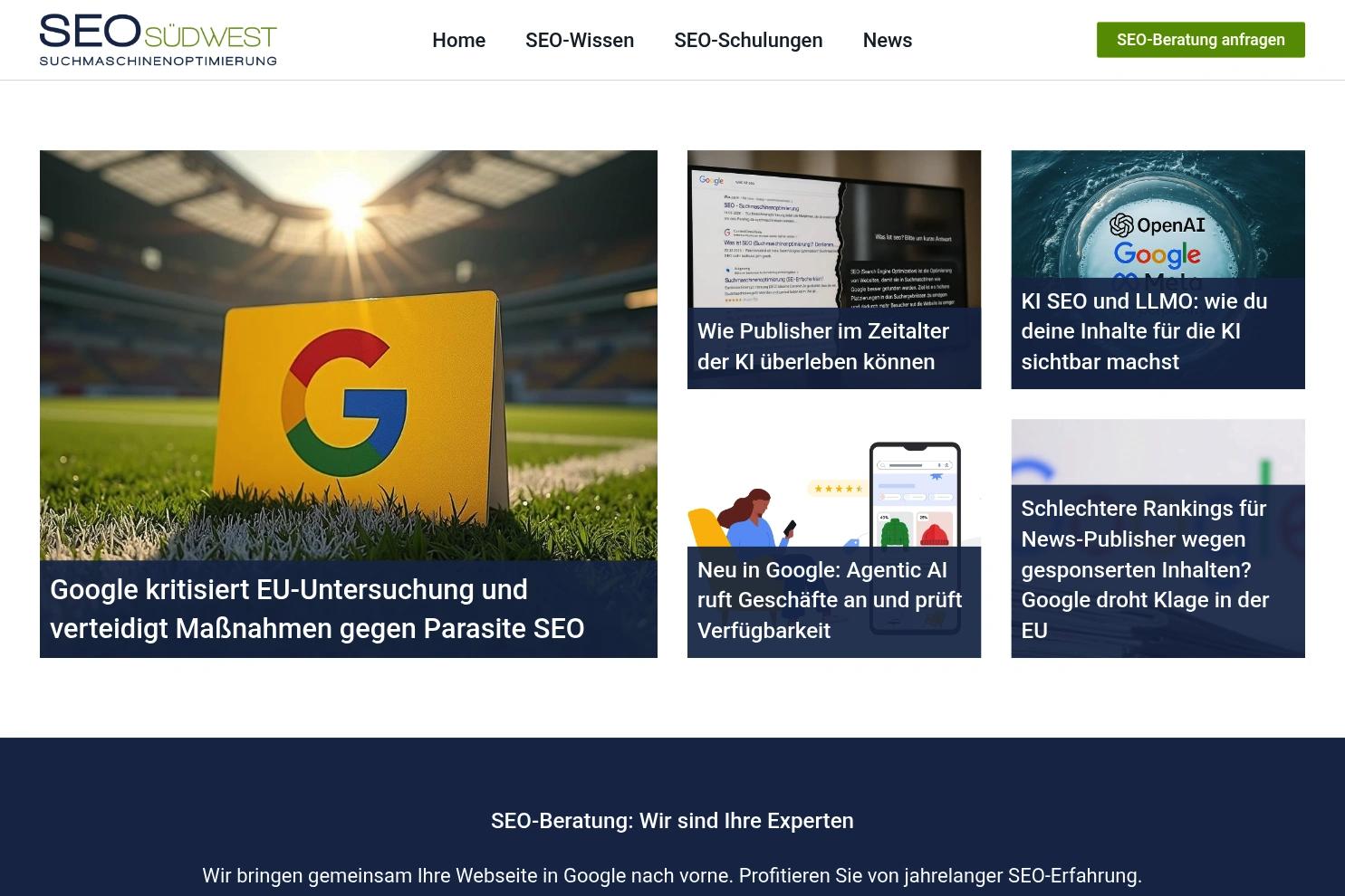 SEO Südwest website screenshot