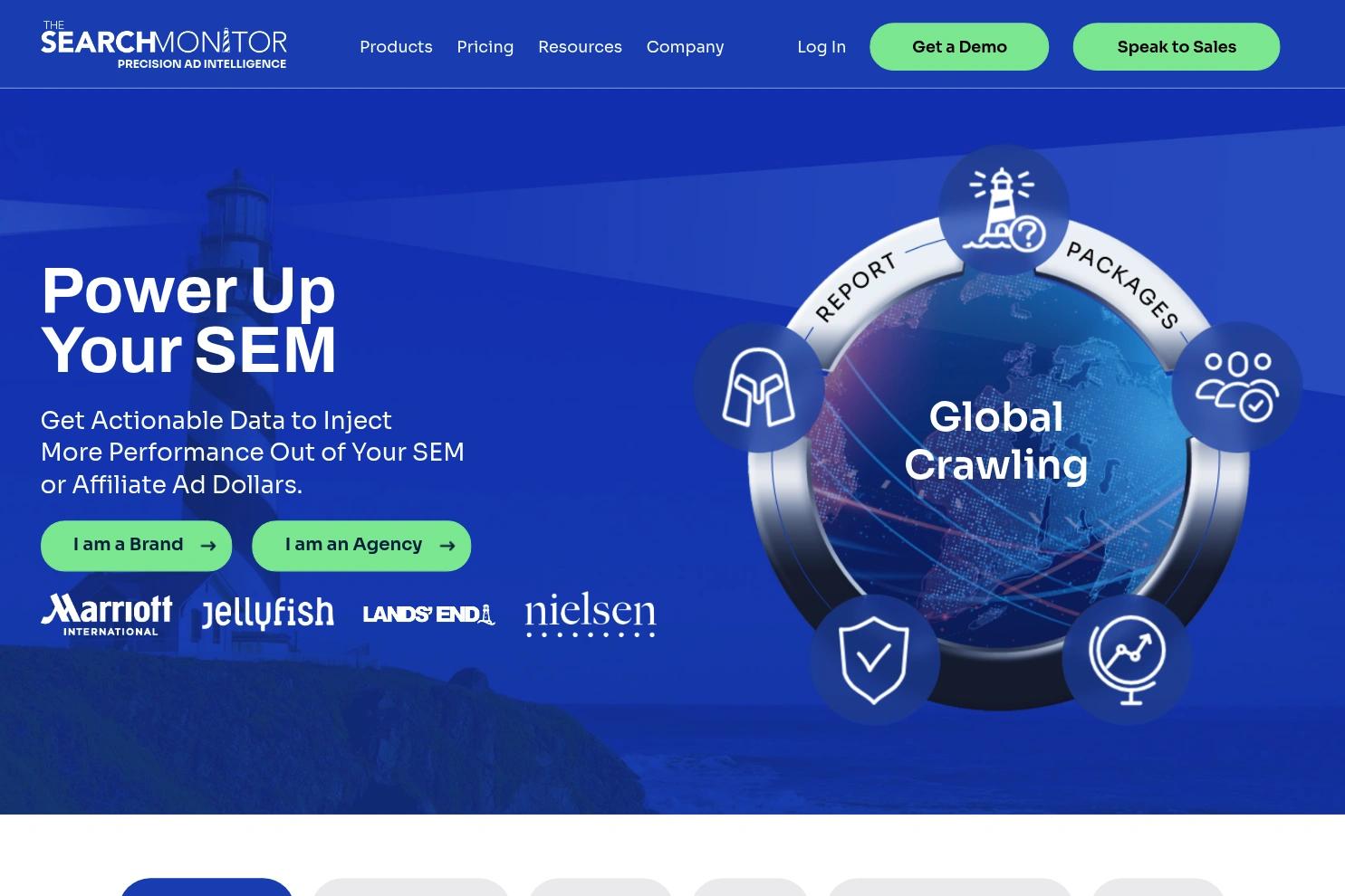 The Search Monitor website screenshot