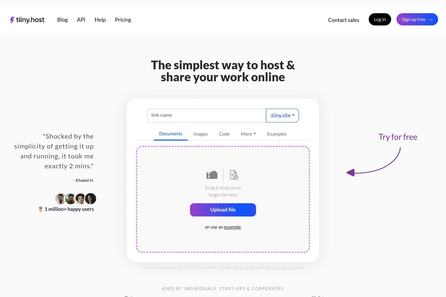 Tiiny Host website screenshot